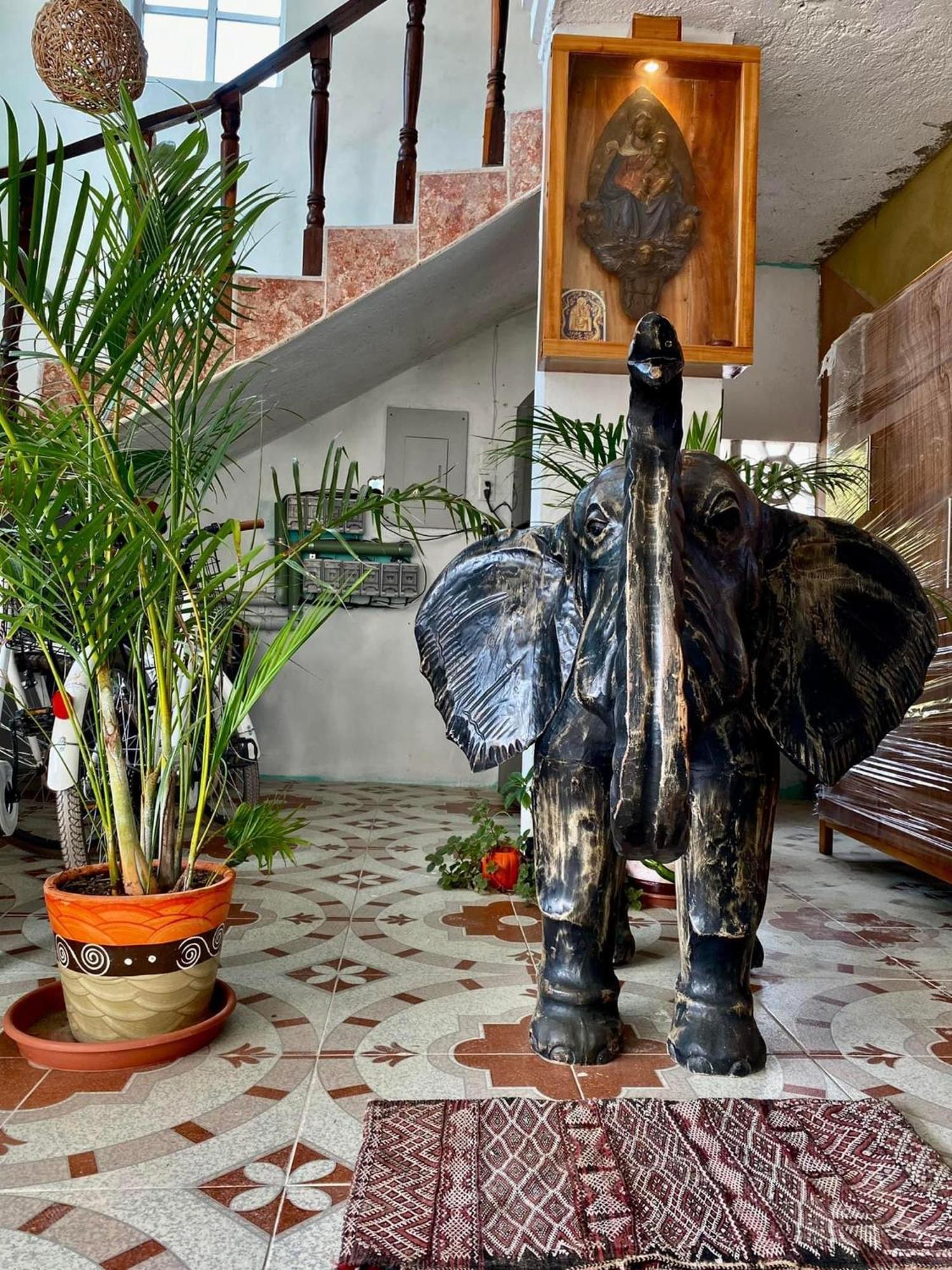 Casa Gajah HotЭль-Куйо Экстерьер фото
